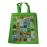 甘肃LB11覆膜无纺布广告袋